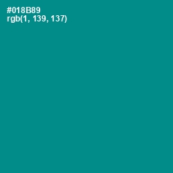 #018B89 - Teal Color Image