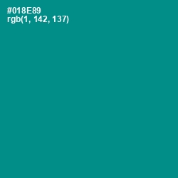 #018E89 - Teal Color Image