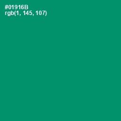 #01916B - Observatory Color Image