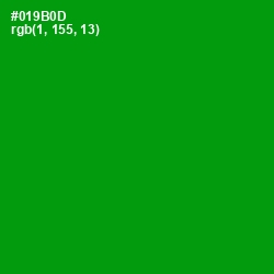 #019B0D - Forest Green Color Image