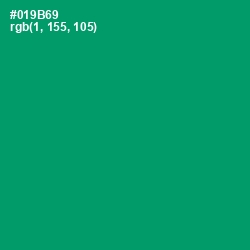 #019B69 - Observatory Color Image