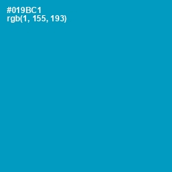 #019BC1 - Pacific Blue Color Image