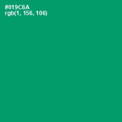 #019C6A - Observatory Color Image