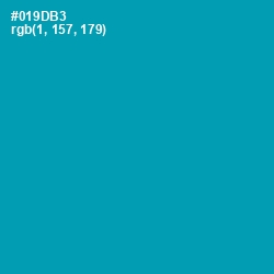 #019DB3 - Bondi Blue Color Image
