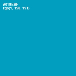 #019EBF - Bondi Blue Color Image