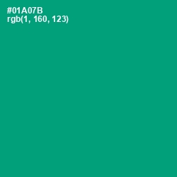 #01A07B - Jade Color Image