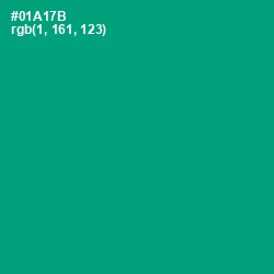 #01A17B - Jade Color Image