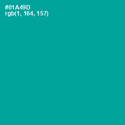 #01A49D - Persian Green Color Image