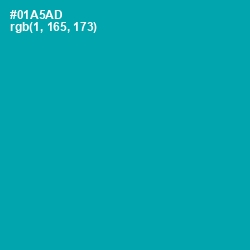 #01A5AD - Bondi Blue Color Image