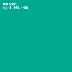 #01A991 - Persian Green Color Image