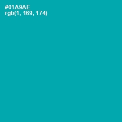 #01A9AE - Bondi Blue Color Image