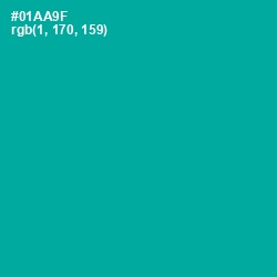 #01AA9F - Persian Green Color Image