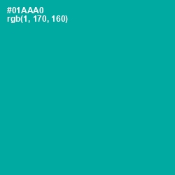 #01AAA0 - Persian Green Color Image