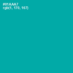 #01AAA7 - Persian Green Color Image