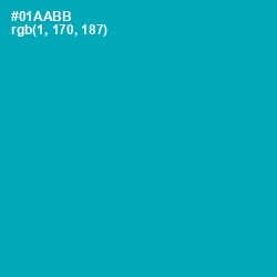 #01AABB - Bondi Blue Color Image