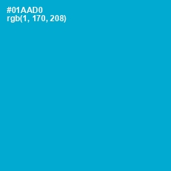 #01AAD0 - Cerulean Color Image