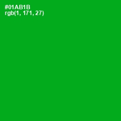 #01AB1B - Forest Green Color Image