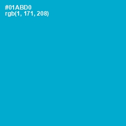 #01ABD0 - Cerulean Color Image