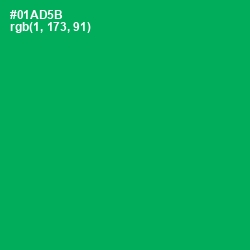 #01AD5B - Green Haze Color Image