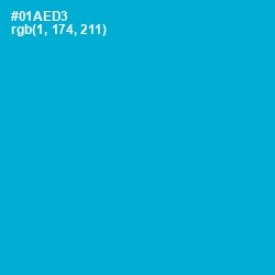 #01AED3 - Cerulean Color Image