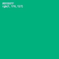 #01B07F - Jade Color Image