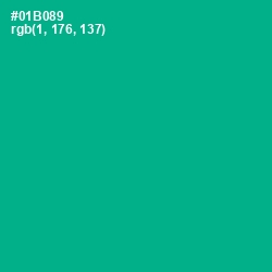 #01B089 - Persian Green Color Image