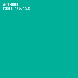 #01B099 - Persian Green Color Image