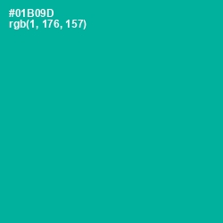 #01B09D - Persian Green Color Image