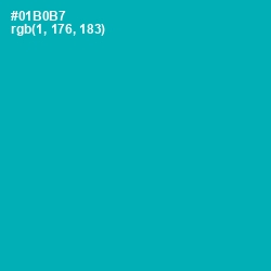 #01B0B7 - Bondi Blue Color Image