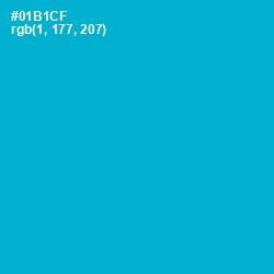 #01B1CF - Cerulean Color Image