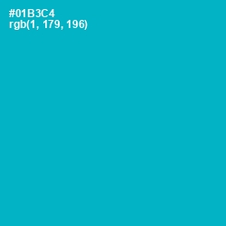 #01B3C4 - Cerulean Color Image