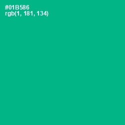 #01B586 - Persian Green Color Image