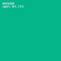 #01B589 - Persian Green Color Image