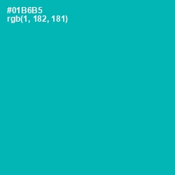 #01B6B5 - Bondi Blue Color Image