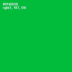 #01BB3B - Forest Green Color Image