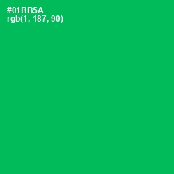 #01BB5A - Jade Color Image