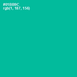 #01BB9C - Persian Green Color Image