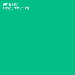 #01BF87 - Persian Green Color Image