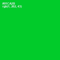 #01CA2B - Green Color Image