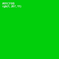 #01CF0B - Green Color Image