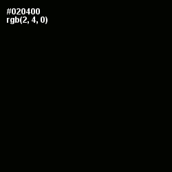 #020400 - Black Color Image