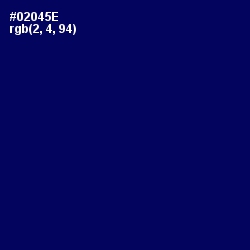 #02045E - Gulf Blue Color Image