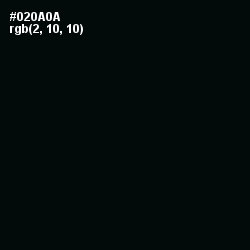 #020A0A - Cod Gray Color Image
