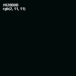 #020B0B - Cod Gray Color Image