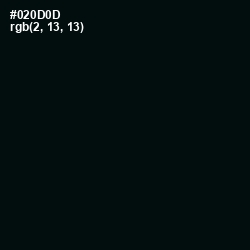 #020D0D - Cod Gray Color Image