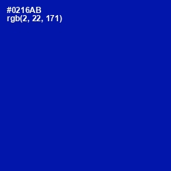 #0216AB - International Klein Blue Color Image