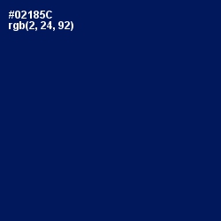 #02185C - Gulf Blue Color Image