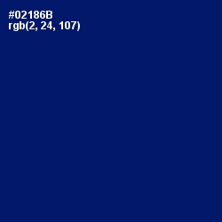 #02186B - Arapawa Color Image
