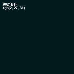 #021B1F - Swamp Color Image