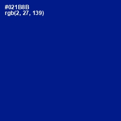 #021B8B - Ultramarine Color Image